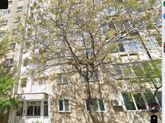 Petre Ispirescu, Sebastian, 10 minute de Unirii