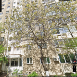 Petre Ispirescu, Sebastian, 10 minute de Unirii